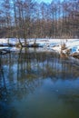 Background of trees mirrored on rippled water surface Royalty Free Stock Photo