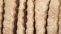 Background of trenette pasta closeup. Video