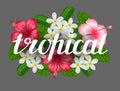 Background with tropical flowers hibiscus and plumeria. Image for design on t-shirts, prints, invitations, greeting Royalty Free Stock Photo