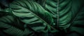 Background of tropical leaves, lush green jungle thickets, generative ai illustration.