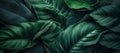 Background of tropical leaves, lush green jungle thickets, generative ai illustration.