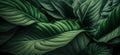 Background of tropical leaves, lush green jungle thickets, generative ai illustration.