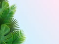 Background with tropical leaves 