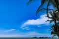 Background tropical nature landscape with coconut palm trees on fantastic seascapes, amazing blue sky with clouds for concept of