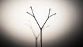 Background. The twig casts a soft shadow creating a mirror like Royalty Free Stock Photo