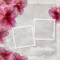 background with two frames and flowers Royalty Free Stock Photo