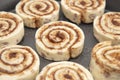 Unbaked Cinnamon Roll Dough Ready to be Cooked