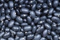 Background - uncooked black mexico beans Royalty Free Stock Photo
