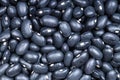 Background - uncooked black mexico beans