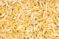 Background - uncooked orzo risoni pasta Royalty Free Stock Photo