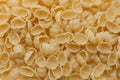 Background of uncooked pasta Conchiglie. Dry pasta in the shape of shells Royalty Free Stock Photo