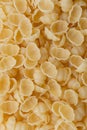 Background of uncooked pasta Conchiglie. Dry pasta in the shape of shells Royalty Free Stock Photo
