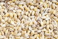 Background - uncooked pearled barley grains Royalty Free Stock Photo