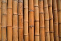 Background of united bamboo sticks for wallpaper, texture, for text