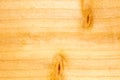 A closeup of a rough section of a plank of wood. Royalty Free Stock Photo
