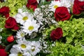 Background with a variety of fresh flowers. Bouquet of red roses, white daisies, greenery and wildflowers. Royalty Free Stock Photo