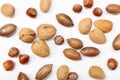 Background of a variety of nuts isolated