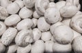 Background from a variety of white champignon mushrooms. Mushroom texture