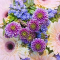 Background Of Various Colorful Flowers