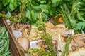 Background - Various gourmet mushrooms with rosemary and parsley in wooden box - close-up and shallow focus at bottom Royalty Free Stock Photo