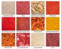 Background - various ground spices with names Royalty Free Stock Photo