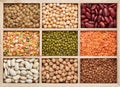 Background of different dry legumes beans Royalty Free Stock Photo