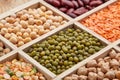 Background of different dry legumes beans Royalty Free Stock Photo