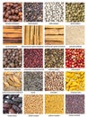 Background - various spices with names close up Royalty Free Stock Photo