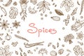 Background with various spices used in cooking and inscription for the design of menus, recipes and packaging products