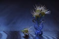 Background with vase with cherry blossom pistils