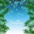 Background with vector christmas tree branches and space for text. Realistic fir-tree border, frame isolated on white Royalty Free Stock Photo