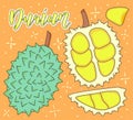 Background with vector hand drawn pineapple set Royalty Free Stock Photo