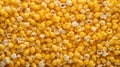 Grain yellow diet food maize corn background Royalty Free Stock Photo