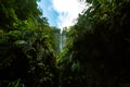 Background of vegetation with a waterfall on the mountain in the middle of the tropical jungle of Costa Rica Royalty Free Stock Photo