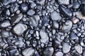 Background View of Black River Rocks Royalty Free Stock Photo