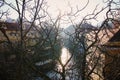 background view from prague. vltava river sparkling light among trees frame