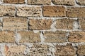 Background wall of shell rock. Texture of the wall of stone. Royalty Free Stock Photo