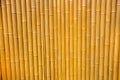 The background is a wall of yellow bamboo sticks. Royalty Free Stock Photo