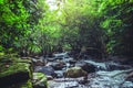 Background Wallpaper nature Forest Hill Waterfall. Tarn Rattana Waterfall kaoyai thailand Royalty Free Stock Photo