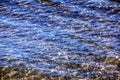 Background of the water of Lake Traunsee in the coastal area. Colorful texture of stones under water Royalty Free Stock Photo