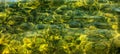 Background of the water of Lake Traunsee in the coastal area. Colorful texture of stones under water Royalty Free Stock Photo