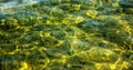 Background of the water of Lake Traunsee in the coastal area. Colorful texture of stones under water Royalty Free Stock Photo