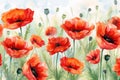 Flowers nature green floral art background illustration summer poppy spring red watercolor Royalty Free Stock Photo