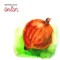 Background with watercolor onion