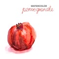 Background with watercolor pomegranate