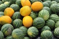 Background Of Watermelons And Cantaloupes