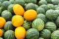 Background Of Watermelons And Cantaloupes