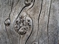 Background Of Weathered Cedar