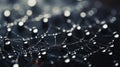 Background web with raindrops. Dark background. Studio light. Macro photography. Abstract background. Royalty Free Stock Photo