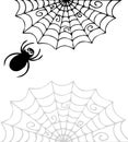 Background of web and spider, outline handmade. Halloween